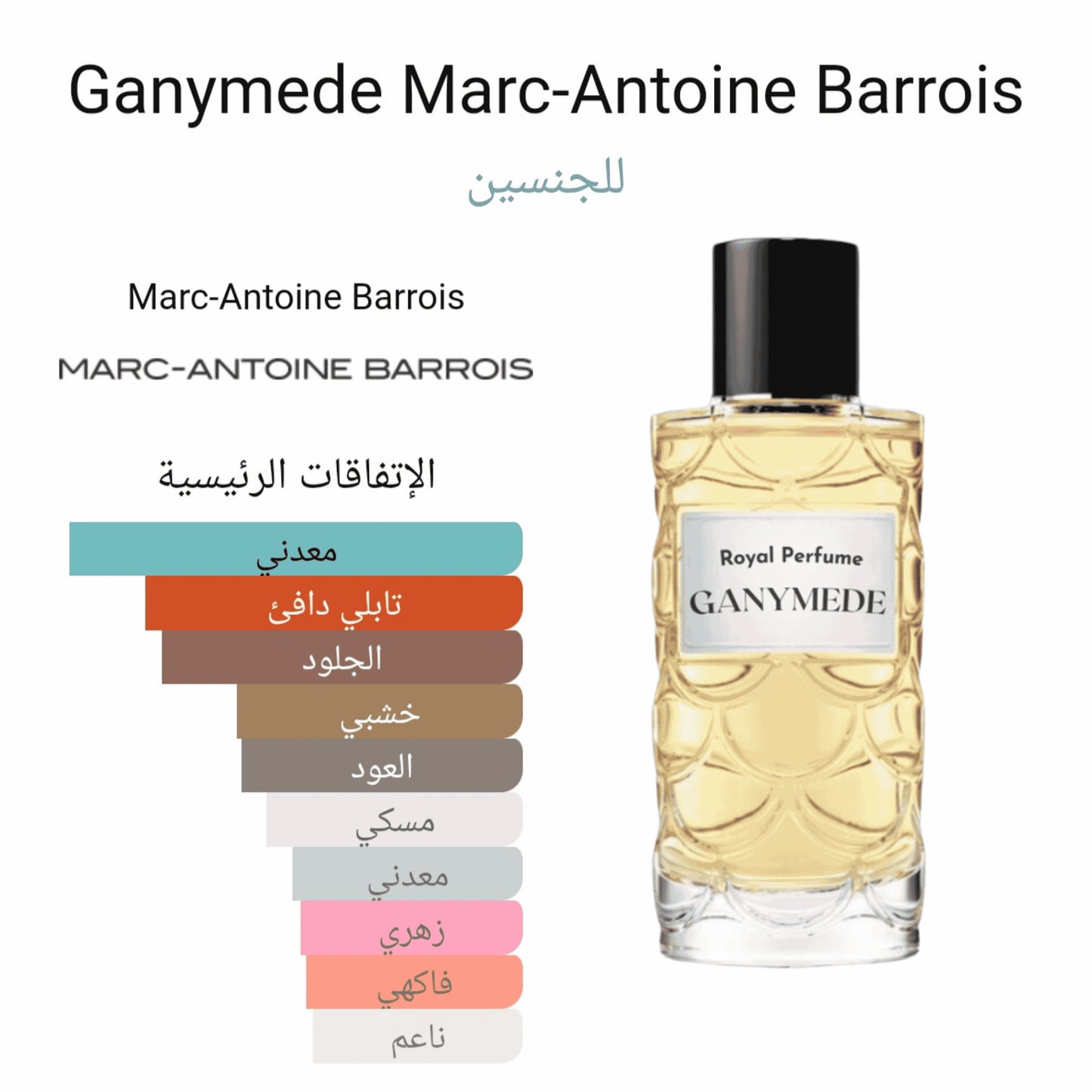 Ganymede Mark Antonie Barrois